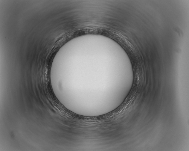 X0000111140964200906301014