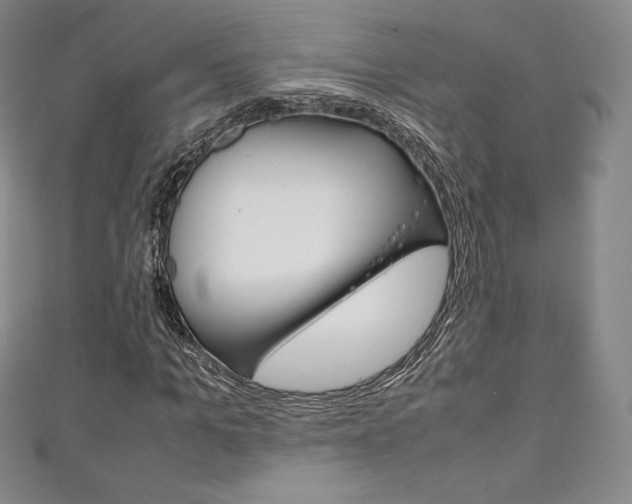 X0000111140965200906301014