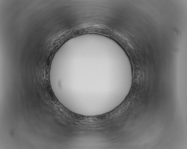 X0000111140966200906301014