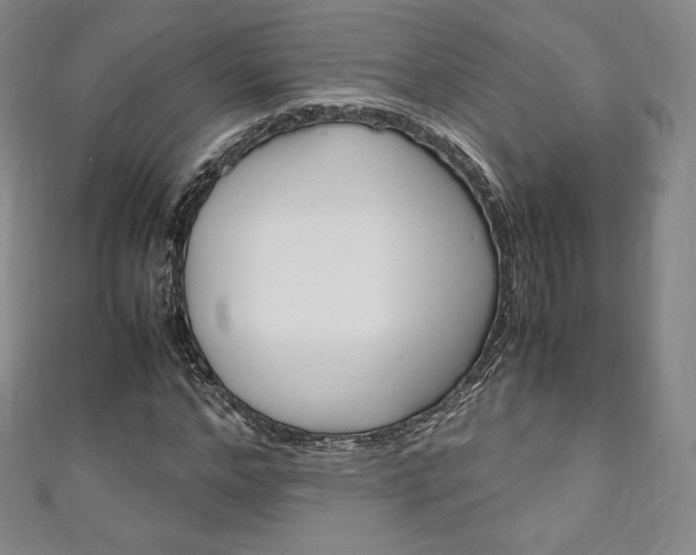 X0000111140968200906301014