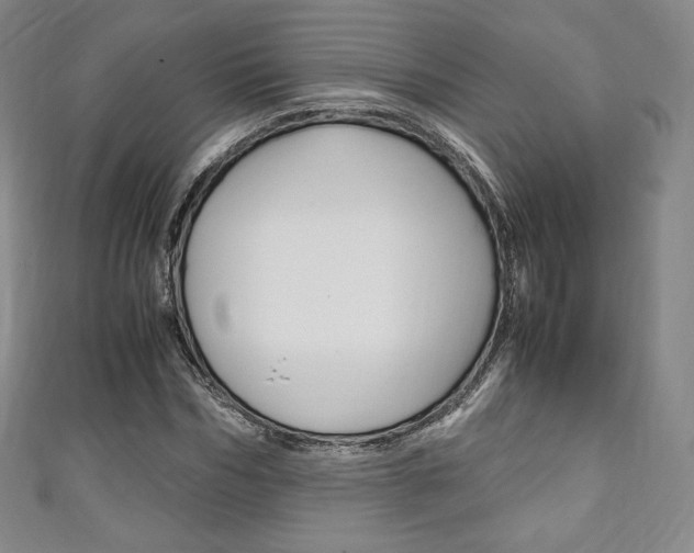 X0000111140970200906301014