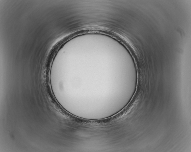 X0000111140971200906301014