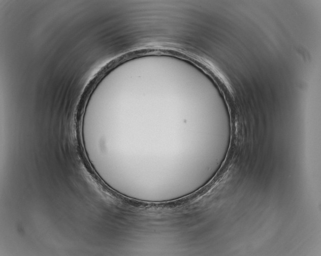 X0000111140972200906301014