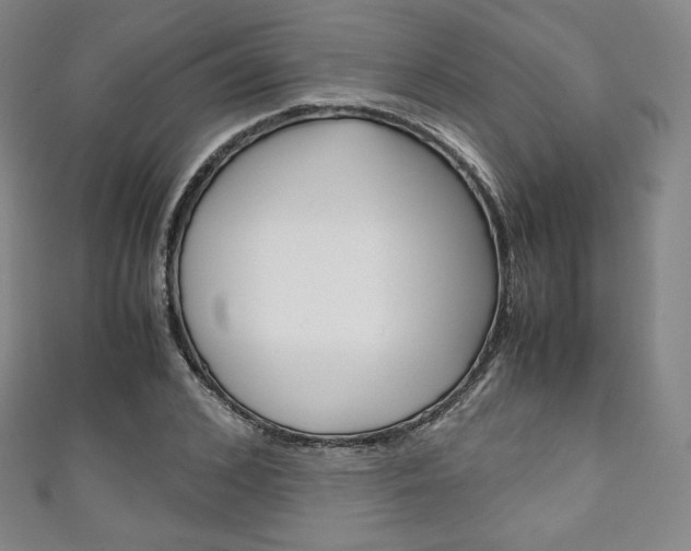 X0000111140976200906301014