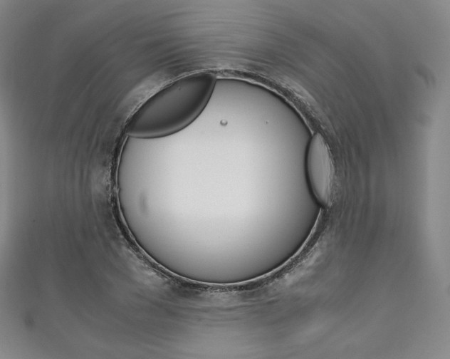 X0000111140977200906301013
