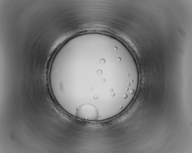 X0000111140978200906301013