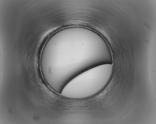 X0000111140979200906301013