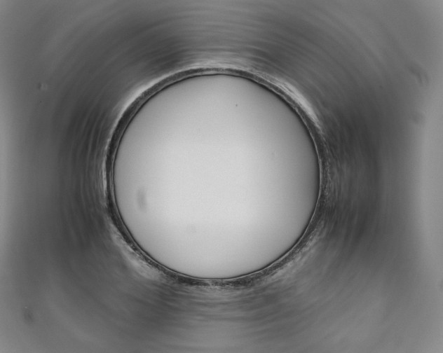 X0000111140980200906301013