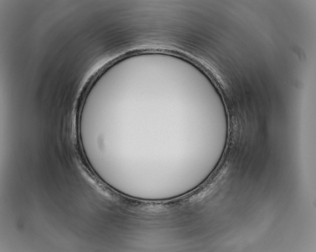 X0000111140982200906301013