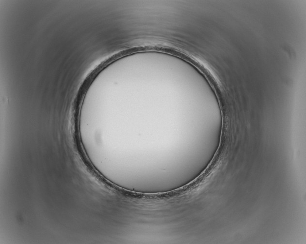 X0000111140983200906301013