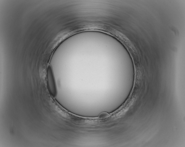 X0000111140985200906301013
