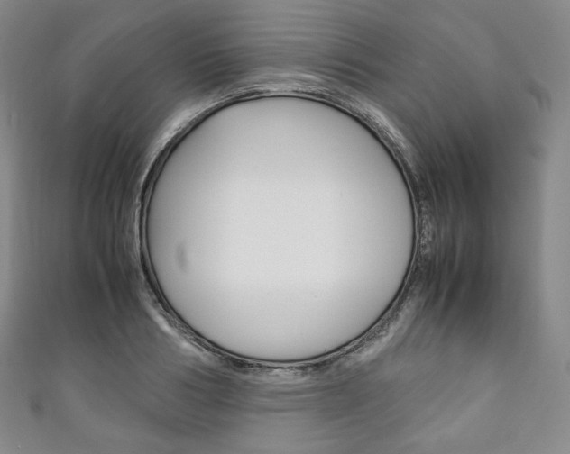 X0000111140986200906301013