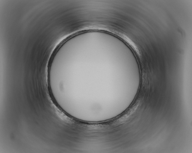 X0000111140988200906301013