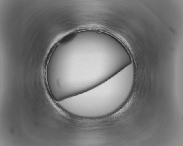X0000111140989200906301013