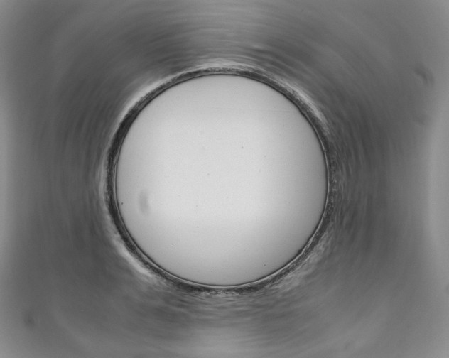 X0000111140991200906301013