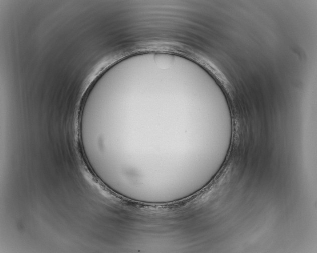 X0000111140994200906301013