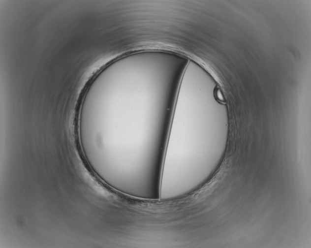X0000111140995200906301013