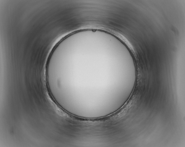 X0000111140996200906301013