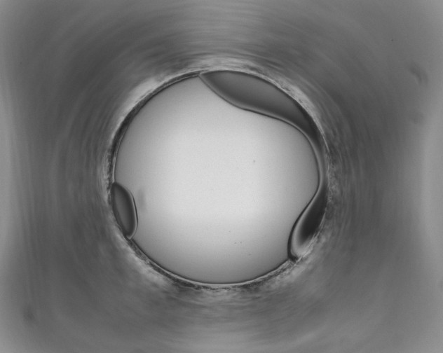 X0000111140997200906301013