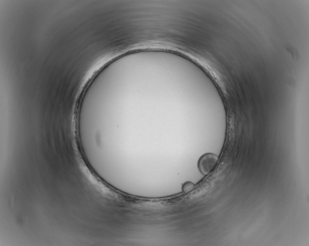 X0000111140998200906301013