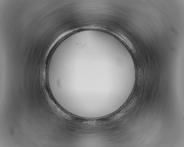 X0000111141000200906301013