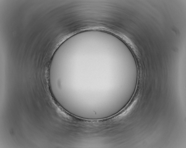 X0000111141001200906301013