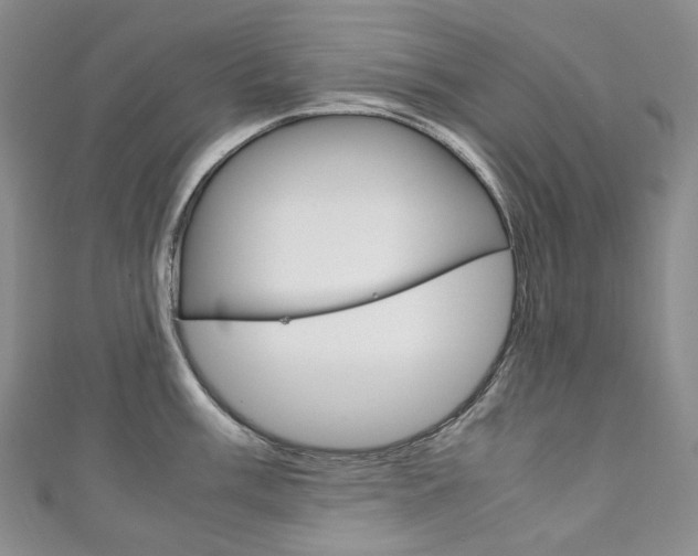 X0000111141003200906301013