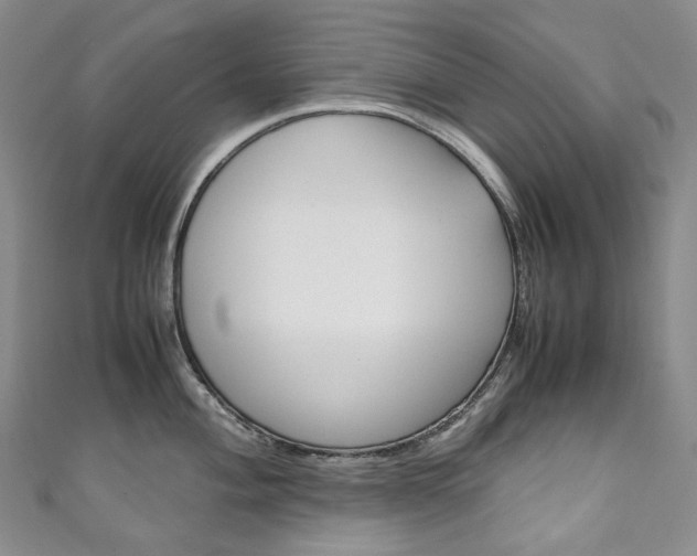 X0000111141004200906301013