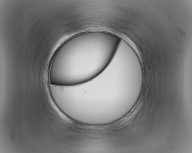 X0000111141005200906301013