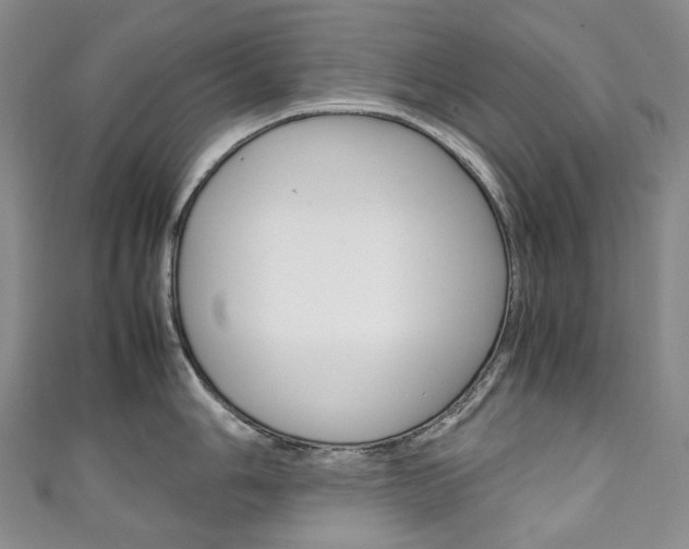 X0000111141006200906301013