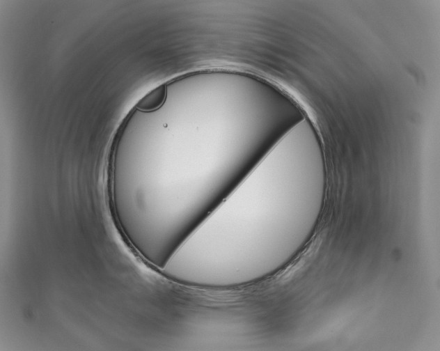 X0000111141007200906301013