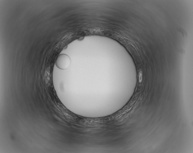 X0000111141011200906301013