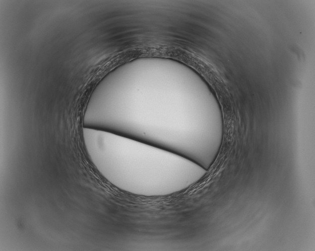 X0000111141013200906301013