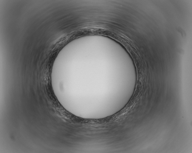 X0000111141014200906301013