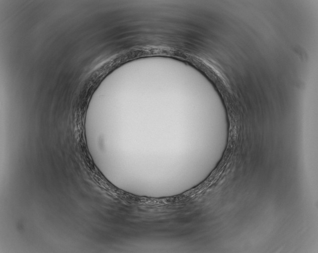 X0000111141015200906301013