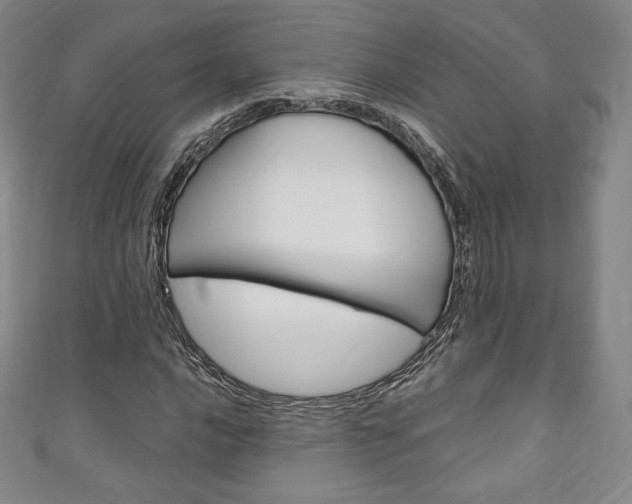 X0000111141016200906301013