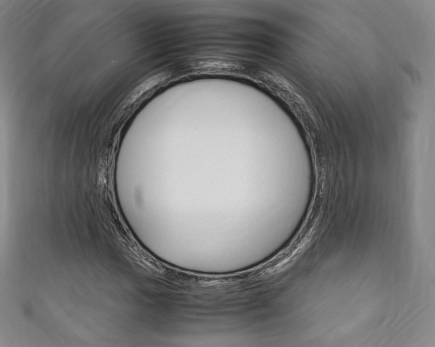 X0000111141017200906301013