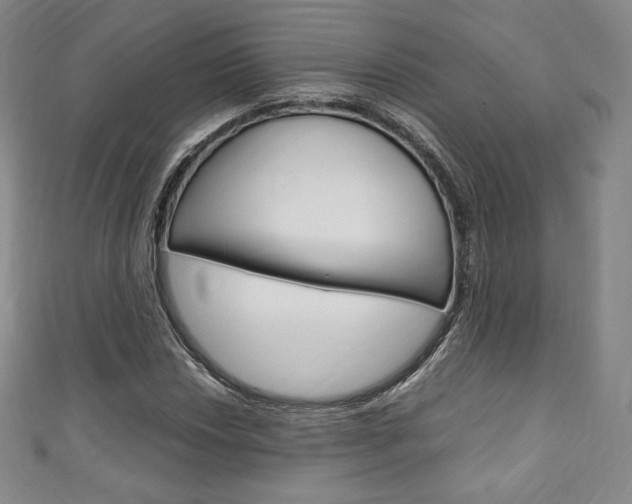 X0000111141018200906301013