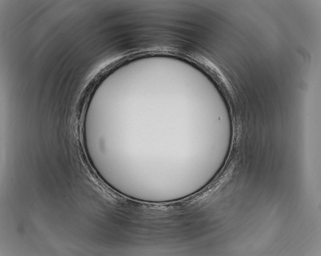 X0000111141019200906301013