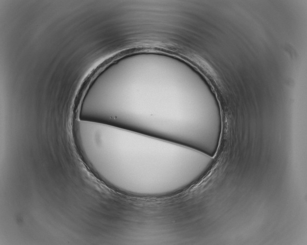 X0000111141020200906301013