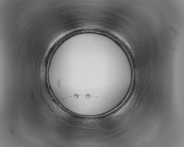 X0000111141021200906301013