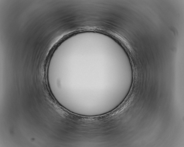 X0000111141023200906301013