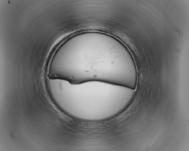 X0000111141024200906301013