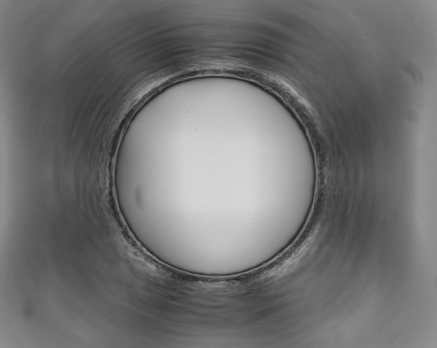 X0000111141025200906301013