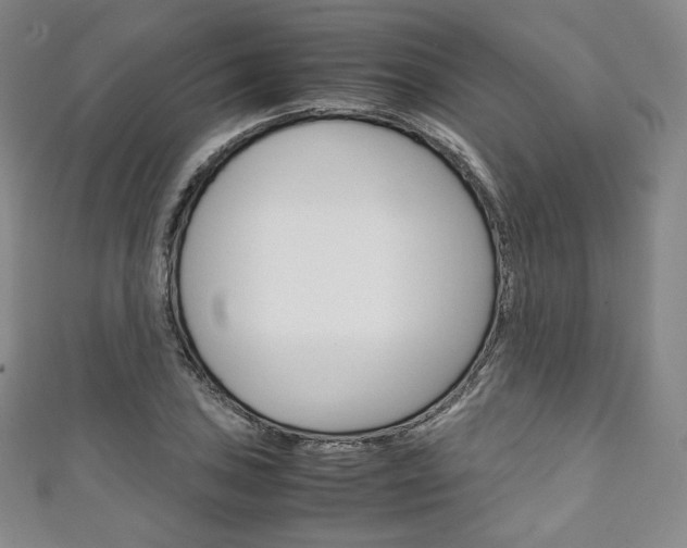 X0000111141027200906301013
