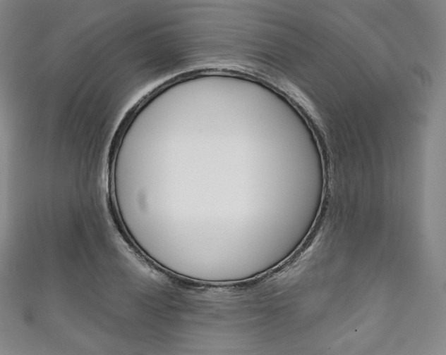 X0000111141028200906301013
