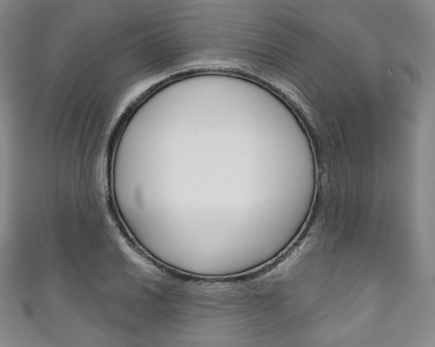X0000111141030200906301013