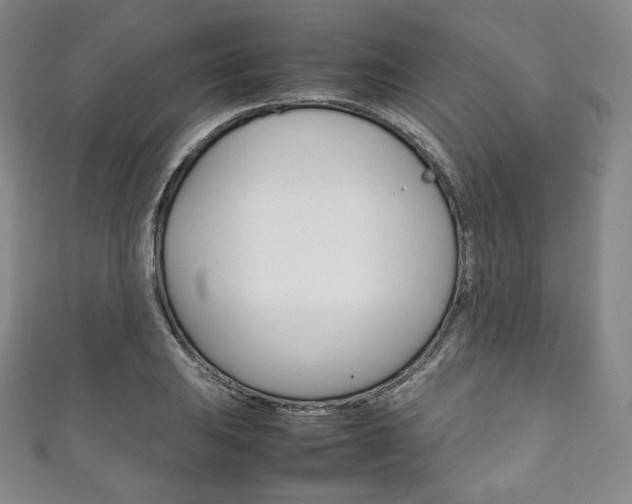 X0000111141031200906301013