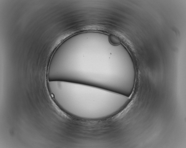 X0000111141033200906301013