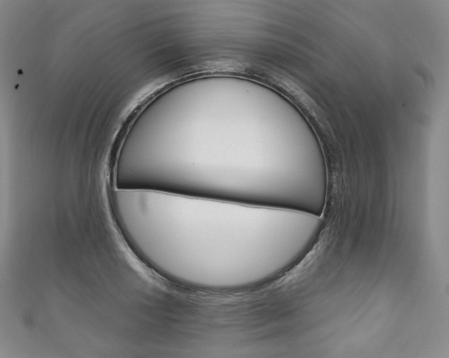 X0000111141034200906301013